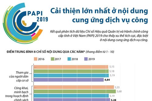 PAPI 2019: Cải thiện lớn nhất ở cung ứng dịch vụ công