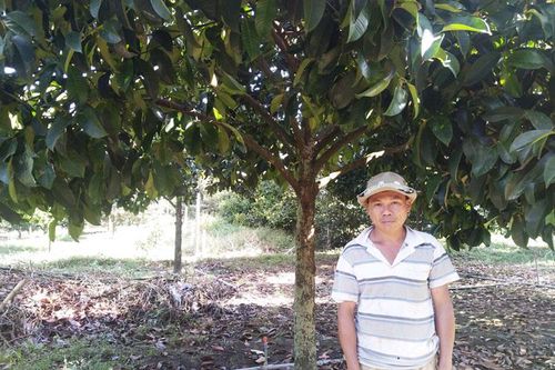 Vườn ăn trái trên đất Đạ Ploa