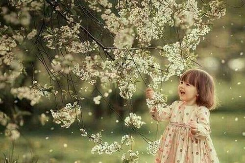 Nhược điểm của chúng ta là món quà từ tạo hóa