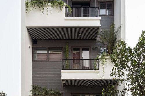 Ngôi nhà phố ấn tượng với thiết kế mặt tiền phủ kín cây xanh