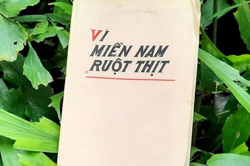 Vì miền Nam ruột thịt