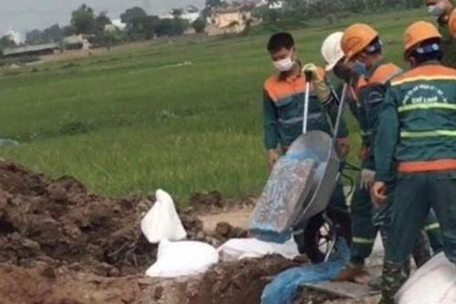 Hải Dương tiêu hủy 72 tấn nội tạng động vật