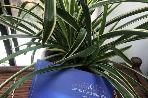 Viết & Đọc mùa xuân 2020