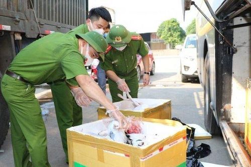 Thu giữ 8 tạ thịt và nội tạng không rõ nguồn gốc