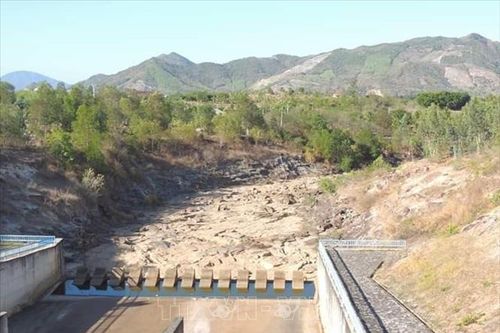 Gần 26.000 hộ dân ở Khánh Hòa có nguy cơ thiếu nước sinh hoạt