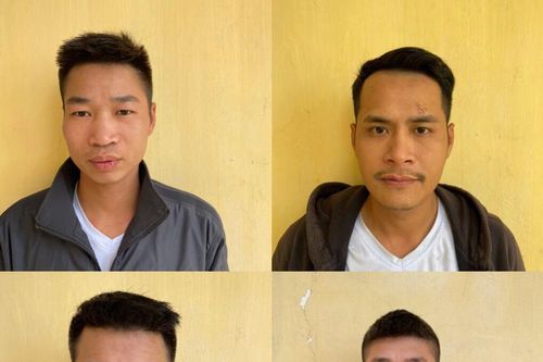 Tạm giam 10 đối tượng trong vụ 'loạn đả' tại Đồ Sơn