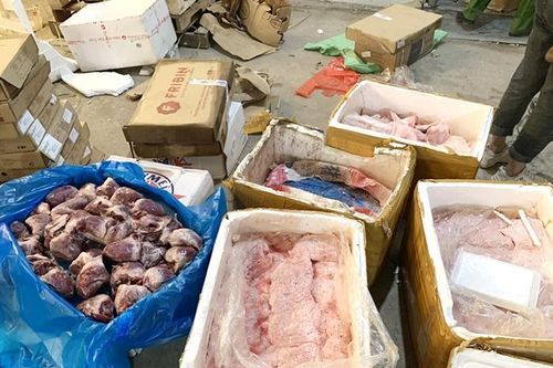 Bắt giữ hơn 6 tấn hàng đông lạnh nhập lậu, không rõ nguồn gốc