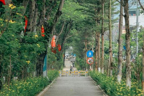 Cung đường tản bộ phủ kín hoa tuyệt đẹp giữa lòng Thủ đô