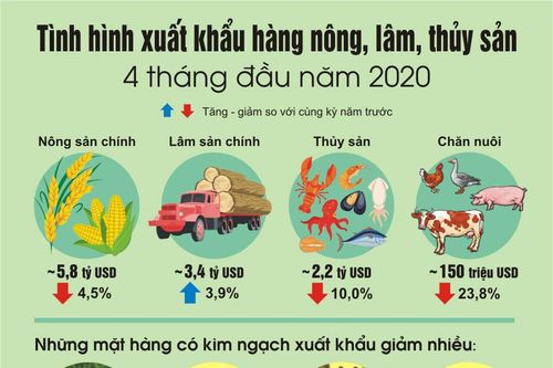 Tình hình xuất khẩu hàng nông, lâm, thủy sản 4 tháng đầu năm 2020
