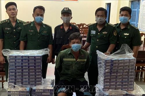 Điều tra, ngăn chặn hoạt động buôn lậu thuốc lá qua biên giới