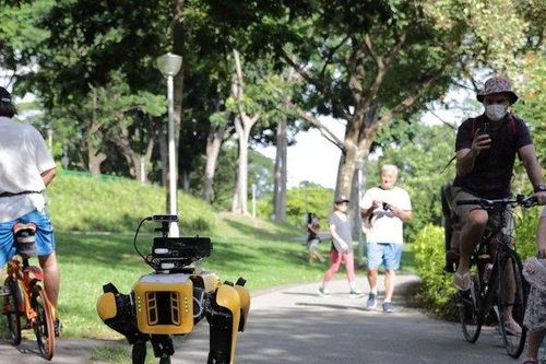Singapore thả 'chó robot' ra công viên để nhắc nhở người dân trong mùa dịch Covid-19