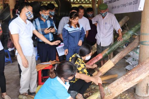 Tập huấn kỹ thuật, quy trình sản xuất quế sáo