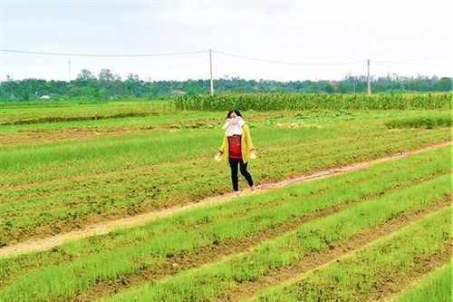 Tiếp tục lan tỏa mô hình 'Cộng đồng học tập' cấp xã