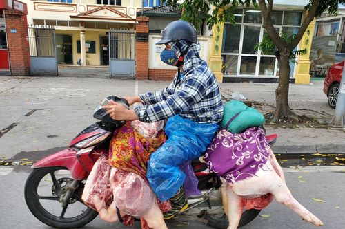 C.P Việt Nam bác tin ngừng bán heo hơi