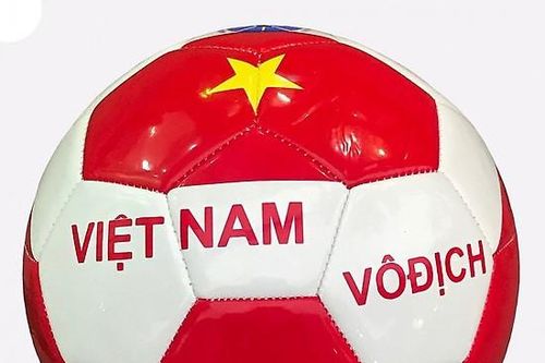 V.League 2020 áp dụng theo K. League