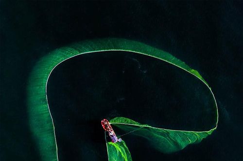 Vũ điệu quăng lưới của ngư dân Phú Yên mùa cá cơm ngần