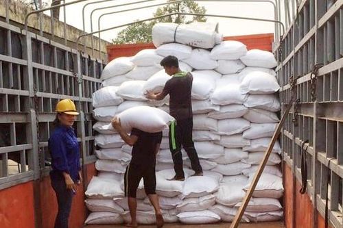 Đấu thầu lại gạo dự trữ: Nâng mức bảo lãnh dự thầu, tránh vết xe đổ