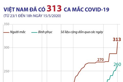 Việt Nam có 313 ca mắc COVID-19, 55% là cách ly ngay sau khi nhập cảnh