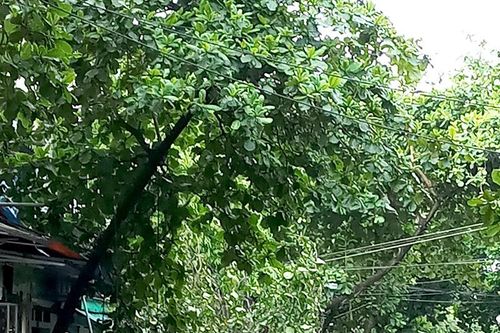 Dông lốc làm thiệt hại nhiều nhà ở, hoa màu
