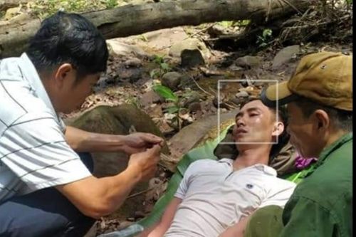 Quảng Bình: Cứu sống người thợ ong bị ong đốt nguy kịch