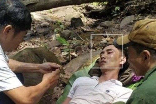 Cùng bố vợ vào rừng lấy mật, người đàn ông Quảng Bình bị ong đốt nguy kịch