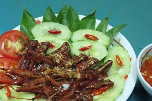 Ghé Đồng Nai ăn dế cơm chiên mắm và những đặc sản khác