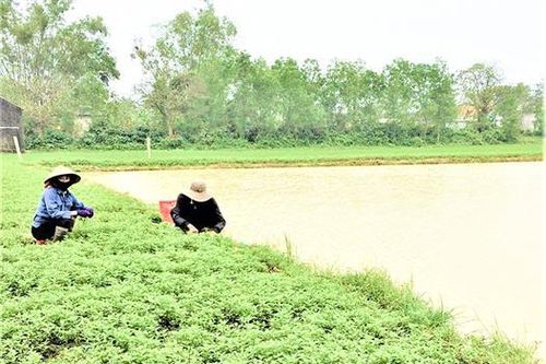 Không ngừng chăm lo việc học của người dân