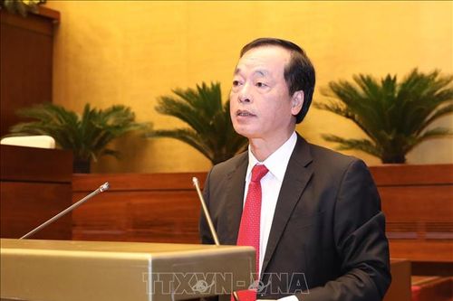 Quản lý hoạt động xây dựng theo hướng chuyên nghiệp