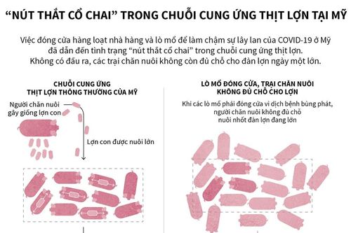 'Nút thắt cổ chai' trong chuỗi cung ứng thịt lợn tại Mỹ