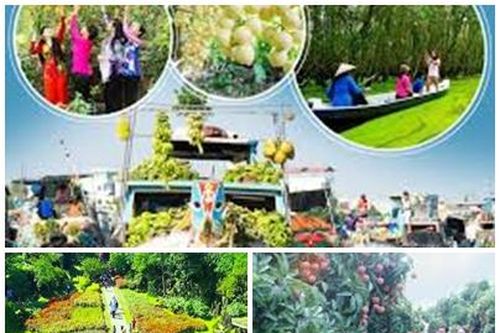 Các địa phương đẩy mạnh quảng bá, phát triển du lịch