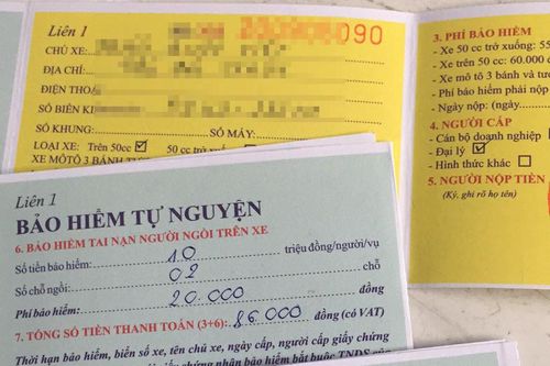 Kiểm tra, rà soát và xử lý vi phạm việc triển khai bảo hiểm xe cơ giới
