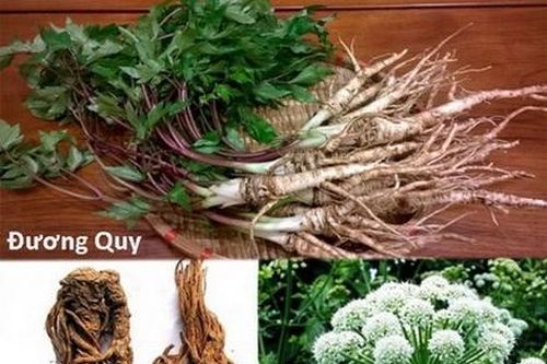 Thảo mộc hỗ trợ điều trị trầm cảm