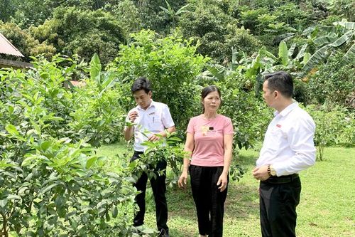 Bảo an tín dụng giúp khách hàng giảm gánh nặng tài chính