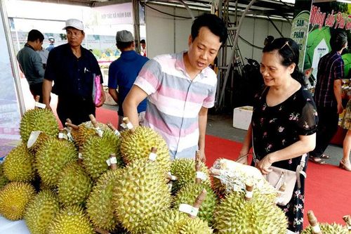 Nhiều nông sản đặc trưng của Lâm Đồng có mặt tại Tuần lễ trái cây, nông sản ở Hà Nội