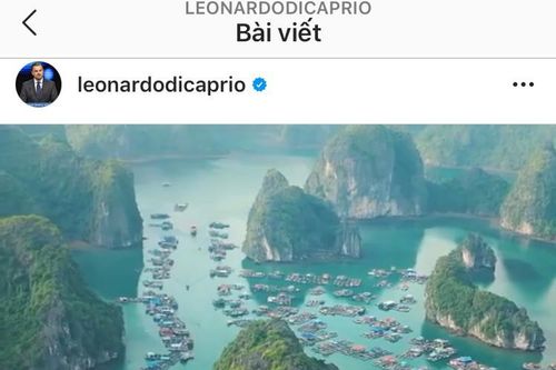 Diễn viên Leonardo DiCaprio ấn tượng với vẻ đẹp của vịnh Lan Hạ