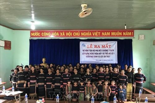 Những hoạt động, mô hình hiệu quả của phụ nữ Gia Lai chung sức xây dựng nông thôn mới