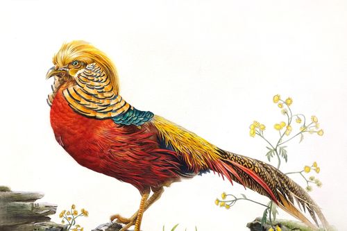 'Mời bạn vào' cùng 23 nghệ sĩ trẻ