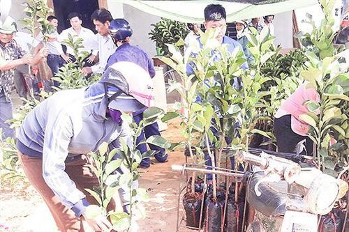 Tiếp tục đổi mới và nâng cao hiệu quả kinh tế tập thể