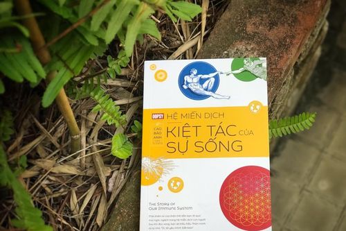 'Hệ miễn dịch - kiệt tác của sự sống': Khám phá bí ẩn của cơ thể