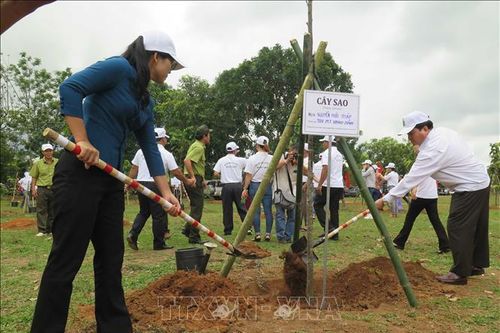 Kon Tum phát động Tết trồng cây đời đời nhớ ơn Bác Hồ