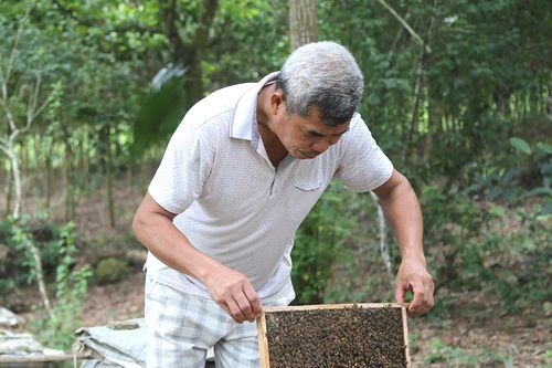 Xây cơ nghiệp trên đất khó