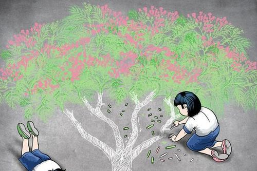 Nỗi buồn cây phượng và nỗi lo môi trường thiên nhiên