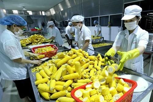 Cơ hội cho nông sản, thực phẩm, sản phẩm y tế Việt phát triển thị trường Nhật Bản