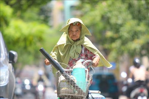 Chật vật mưu sinh dưới nắng nóng 'đổ lửa'