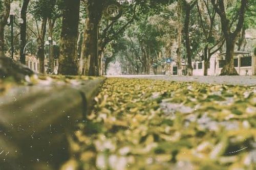 Hà Nội mốc sấu số không