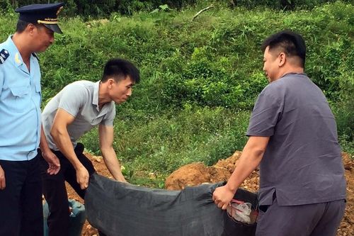 Tiêu hủy hơn 3 tấn lòng lợn sấy khô, phạt chủ xe 7,5 triệu đồng