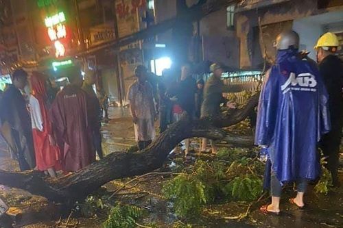 Cây xanh tét nhánh đè chết người ở quận 10 trong cơn mưa