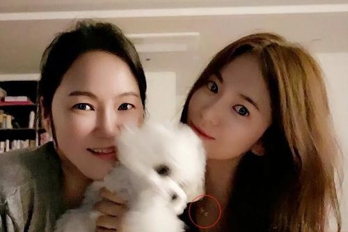 Thêm bằng chứng Hyun Bin tái hợp Song Hye Kyo