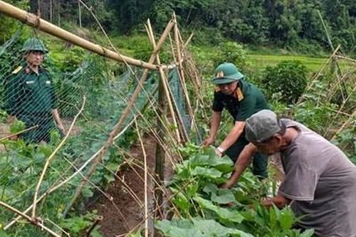 Thời tiết khắc nghiệt rau vẫn lên xanh
