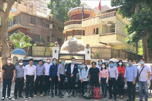 Đưa 266 công dân Việt Nam từ Kuwait, Qatar, Ai Cập về nước